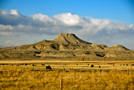 Cattle grazing beneath a Wyoming mountain